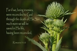 Romans 5 10