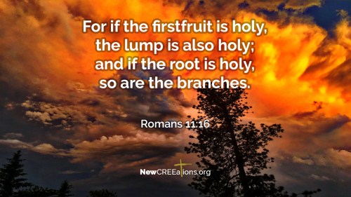 10 MAR 2017 ROM 11-16