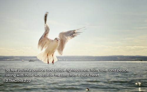 8 MAR 2017 2 TIM 2-22