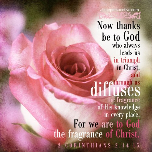 9 APR 2017 2 Cor 2 14-15